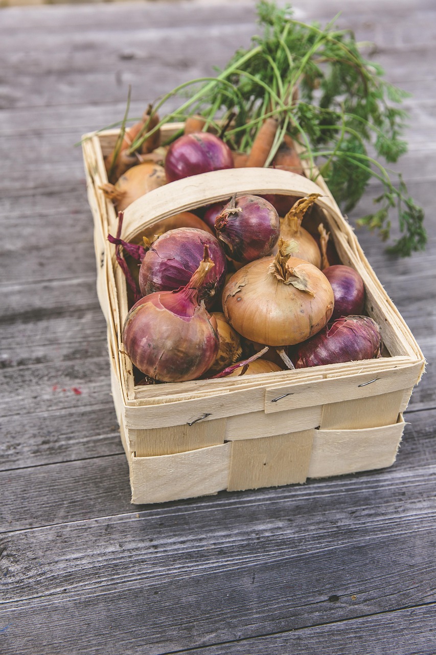 vegetables, harvest, cultivation, thanksgiving, garden, fresh, onions, carrots, multicoloured, bio, food, nature, basket, self-sufficiency, self-sufficient, home made, urban, gardening, neourban, sustainable, abstinence from consumption